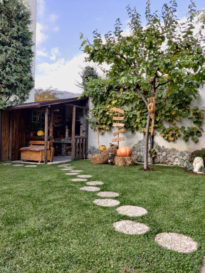 Colfly Studios Braşov Dış mekan fotoğraf